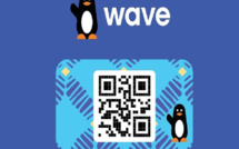Saraya : Plus d’une trentaine de comptes Wave vidés par des arnaqueurs