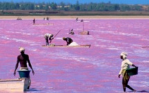 Alerte environnement : Le plan d'eau du Lac Rose a diminué de 70 %, en 50 ans, selon le directeur du CSE