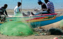 Pêche / Contrôle : Pour utilisation du monofilament et autres, 516 pirogues arraisonnées en 2020