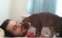 26 petites choses, très surprenantes, à savoir sur les animaux. Voila qui devrait vous faire sourire !