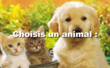 Quel âge as-tu réellement ?