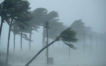 Météo : ANACIM alerte sur  un vent fort sur la Petite côte et la Casamance