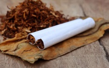 Arrêté avec 50 kilos de chanvre indien : I. Guèye implique son neveu de 19 ans, dans la vente de drogue