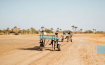 Guinguinéo : A Ndiaga, un enfant de six ans tombe d’une charrette et meurt sur le coup