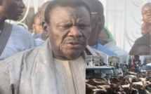 Vidéo - Arrivée des Boeufs et Chameaux de Cheikh Béthio à Touba