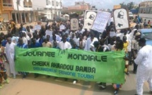 Mont-Rolland : Mourides, Tidjanes, Catholiques marchent pour célébrer Bamba
