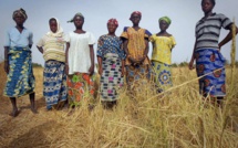 Kaolack : Les femmes rurales exigent des Assises nationales de l’agriculture et du foncier