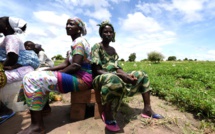 Pauvreté dans le monde rural : Les jeunes du village de Daga Birame réclament de meilleures conditions de vie