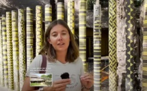 Odyssée d’architecture : Le collectif de cases à impluvium du Sénégal, un des derniers de ces habitats en Afrique