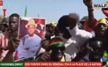 Grand rassemblement des forces vives du Sénégal : Les partisans d'Ousmane Sonko marquent leur territoire….