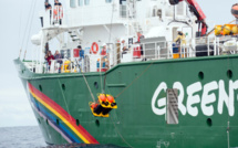 Greenpeace Afrique: "La bonne gouvernance des ressources halieutiques permettrait d’éviter les altercations entre pêcheurs en mer"