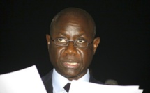 Dahlia Sa : Bara Tall dit tout sur la genèse de la société