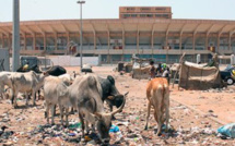 Abords du stade Léopold Sédar Senghor, de la Patte d’Oie, de Liberté VI : Le retour des «bannis»
