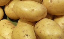 Comment soulager une conjonctivite naturellement