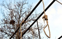 L'Afrique a le taux de suicide le plus élevé au monde (OMS)