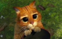 Top 12 des petites phrases à dire pour obtenir une augmentation à coup sûr