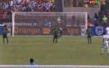Sénégal-Ghana: Le but de André Ayew