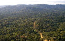 Côté Can : Les journalistes sénégalais se perdent dans la forêt équato-guinéenne pendant 2 heures