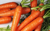 Diabète de type 2 : le manque de vitamine A en serait-il la cause?