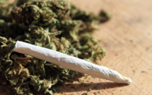 Parcelles Assainies : Un taximan arrêté avec 125 grammes de chanvre indien et un lot d'enveloppes contenant de la drogue