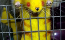 Top 20 des version réalistes (et super angoissantes) des personnages de dessins animésBob l'éponge habite dans un ananas au fond de la mer et quand on jette un œil aux versions réalistes de nos personnages de dessins animés préférés, on se dit que c'