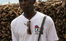 Autosuffisance en riz : Cheikh Amar annonce l’importation de 2000 tracteurs et accessoires