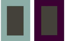 Ces illusions d'optique qui vont vous rendre fou