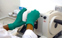 Non-respect des normes internationales, insuffisance de ressources humaines... les laboratoires de biologie médicale à l’agonie