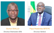 Sénélec : Des agents exemplaires au service des habitants de Recasement 1 Almadies, Cité Gorgui et plus de 14 villages près de Ziguinchor