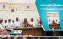 Le RENOPHUS tire les leçons du Hadj 2023 et se prépare pour une expérience améliorée en 2024