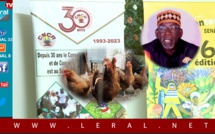 Importation de poulets et de pièces de poulets: L'Interprofession avicole du Sénégal, dénonce et interpelle l’Etat