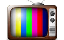 Le crépuscule du citoyen et le triomphe de la télé-citoyenneté : Quand des idoles deviennent des bourreaux