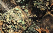 Namibie : Un trésor de 50 millions de dollars retrouvé au fond de l'océan