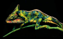 La stupéfiante transformation de... deux femmes!