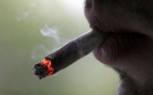 Vidéo-incroyable: Samba un Sénégalais qui fume 50 joints de »yamba » par jour…….Regardez