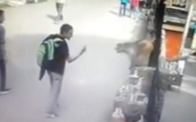 Voilà ce qui arrive quand on fait un doigt d'honneur à un singe