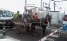 Visite des chantiers de l’Etat : Le ministre Diéne Farba Sarr annonce l’interdiction de circulation des charrettes pour bientôt