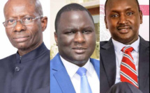 Fichier, parrainage, affaire Ousmane Sonko: Ces candidats subitement aphones