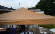 Une pluie d'excréments pour ses 16 ans