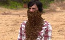 La barbe aux 10.000 abeilles
