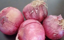 Maladie du foie : comment améliorer votre état de santé?