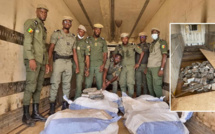 Saisie historique de cocaïne par les Douanes sénégalaises : Plus d'une tonne interceptée à Kidira
