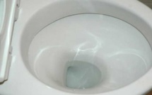 Phobique des toilettes, elle meurt après s’être retenue pendant plus de deux mois