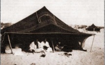 Cheikh Hamallah, un distingué guide de la Tidjaniya