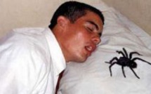36 choses que vous ne saviez pas sur le sommeil... Pour la 18, c'est flippant quand-même !