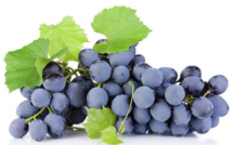 Une grappe de raisin vendue à près de 7.500 euros au Japon