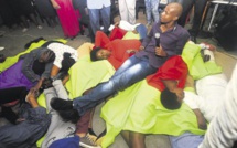 Afrique du Sud : un pasteur arrêté pour avoir fait manger des serpents à ses fidèles