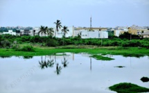 Erection  de l’Arène nationale au niveau du Technopole : C’est en contradiction avec une convention signée par le Sénégal, selon un expert à Onu Habitat