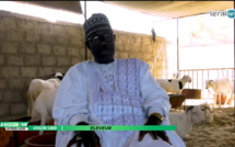Khadim Samb, Eleveur: "Xamna Diomaye, dañ ma dieulé fima diayé khar, presse dafa wara fay impôt..." 