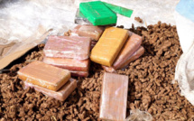 Saisie inédite à l’AIBD : un individu de nationalité maghrébine tombe avec son lot de 20 kg de cocaïne estimé à 1,6 milliard  FCFA